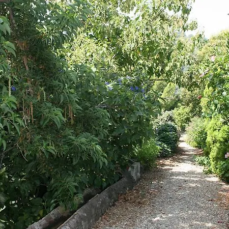 Villa Dei Leoni Santa Tecla Exterior photo