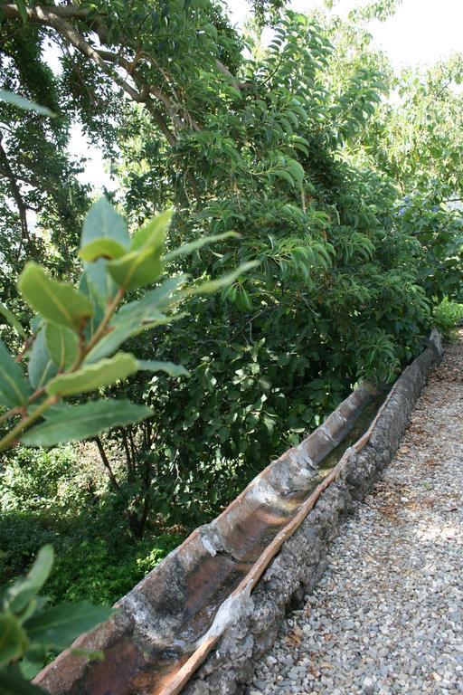 Dei Leoni Holiday home *